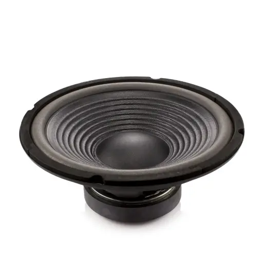 Difuzor HI-FI HOME 10" (254 mm) 120/240W / 8 Ohm Plată sigură