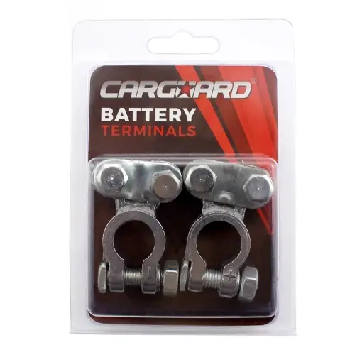 Nu rata Borne baterie auto - CARGUARD