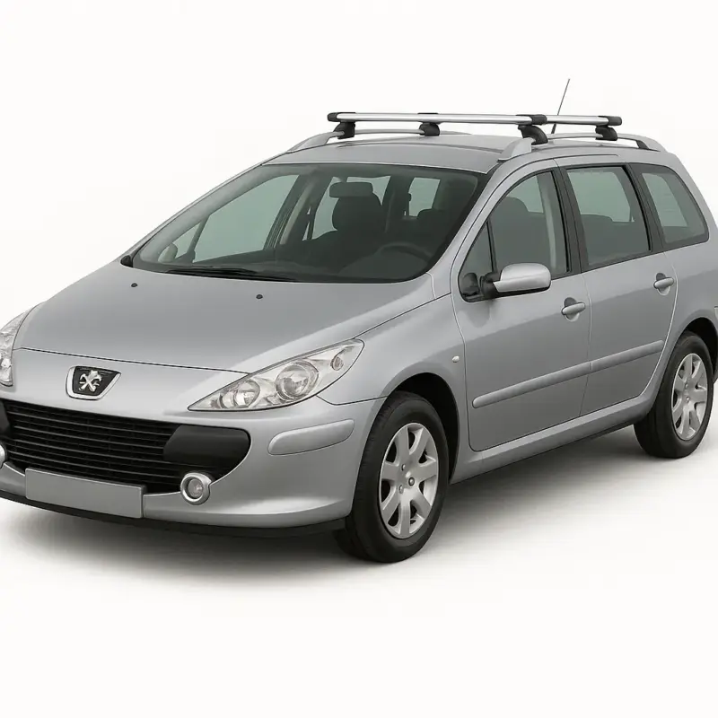 Bare portbagaj cu cheie PEUGEOT 307 Combi / Break / Caravan 2001-2008 Popular