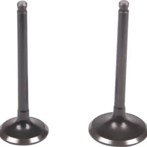 Set supape motor GY6 50 4T (admisie + evacuare) Blade Popular
