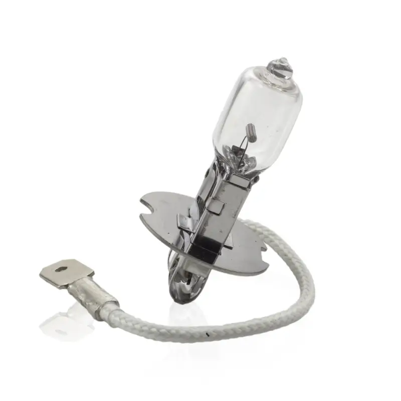 Bec halogen auto H3 55W 12V Carguard, +30% lumina pentru vizibilitate Plată securizată