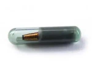 Cip auto ID48 pentru Seat CAN, compatibil cu modele după 2004 Disponibil imediat
