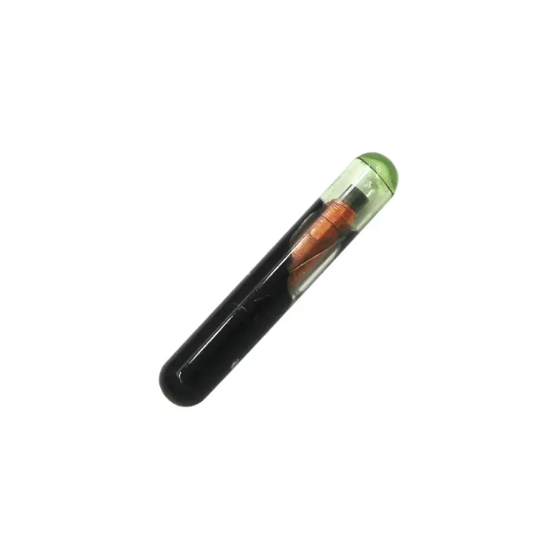 Noutate Cip transponder cheie Ford 4D60 pentru inlocuire si programare rapida