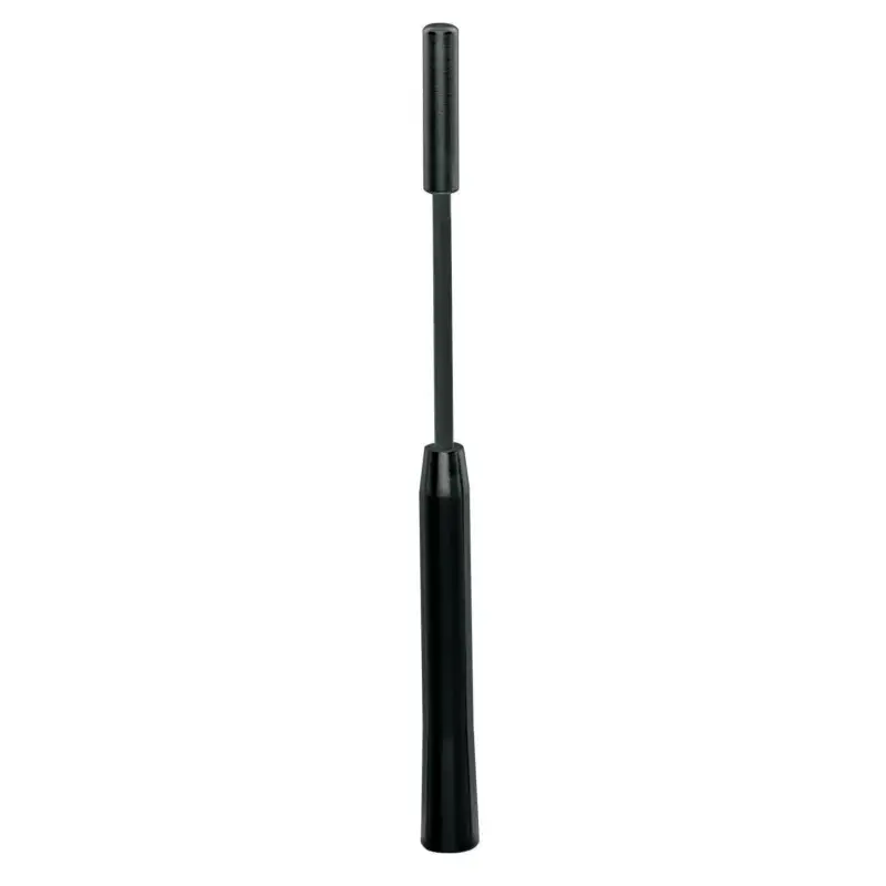 Popular Vergea antenă auto Alu-Tech din aluminiu, 6 mm, negru, pentru Fiat/Lancia/Alfa Romeo