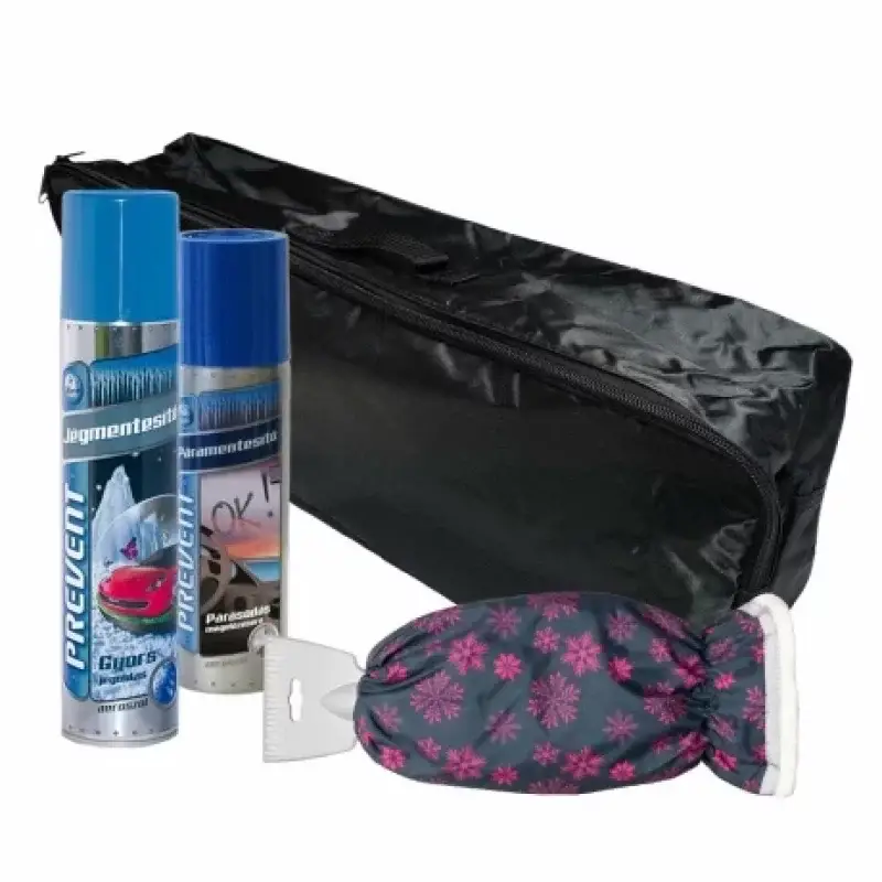 Pachet iarna degivrare auto Woman 4 piese cu geanta si spray-uri Ofertă de sezon