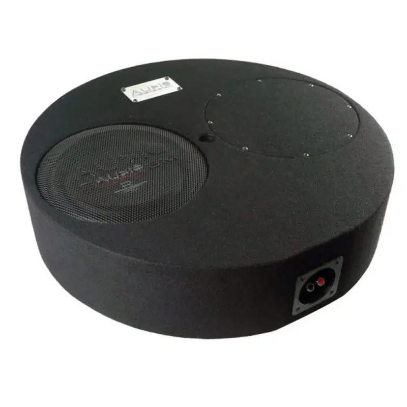 Ofertă specială Subwoofer auto pasiv Audio System SUBFRAME 10 inch 300W RMS pentru roata de rezerva