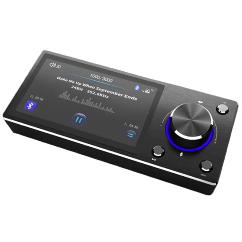 Preț promoțional Panou de control Goldhorn cu afișaj pentru player DSD auto